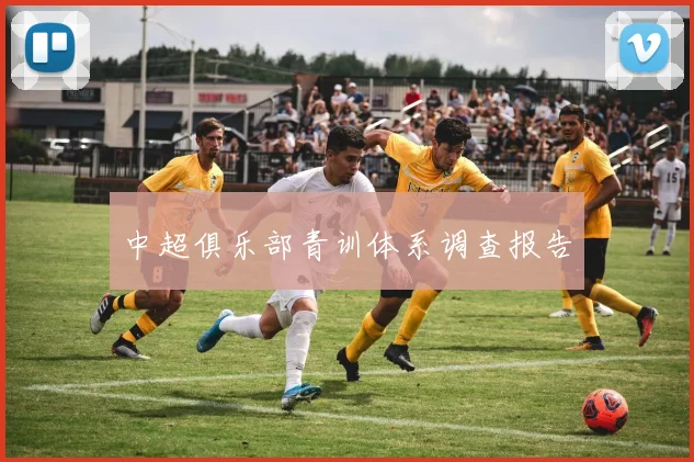 中超俱乐部青训体系调查报告