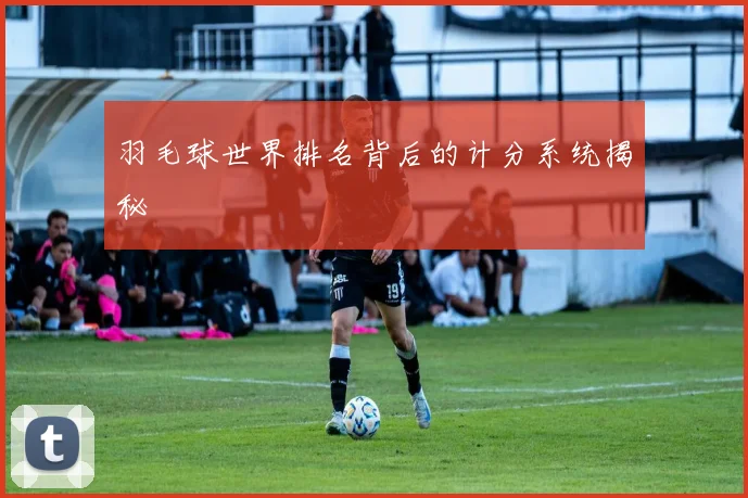 羽毛球世界排名背后的计分系统揭秘