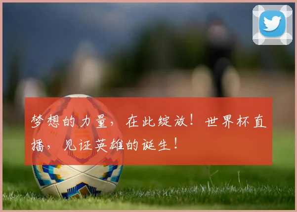 梦想的力量,在此绽放!世界杯直播,见证英雄的诞生!