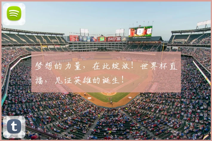 梦想的力量,在此绽放!世界杯直播,见证英雄的诞生!