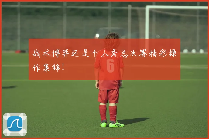战术博弈还是个人秀总决赛精彩操作集锦!