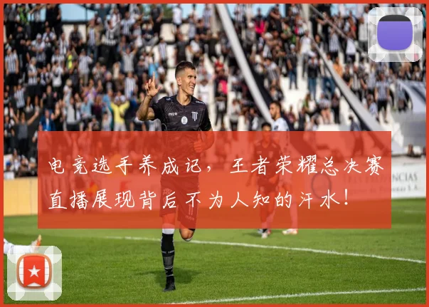 电竞选手养成记,王者荣耀总决赛直播展现背后不为人知的汗水!