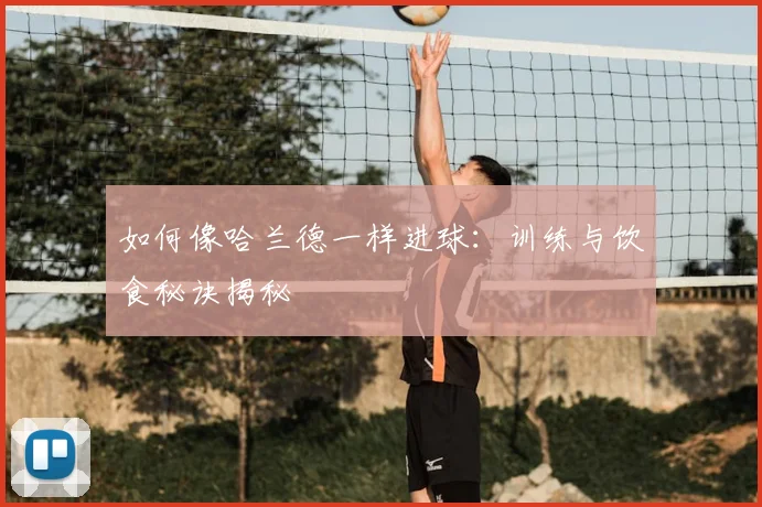 如何像哈兰德一样进球:训练与饮食秘诀揭秘